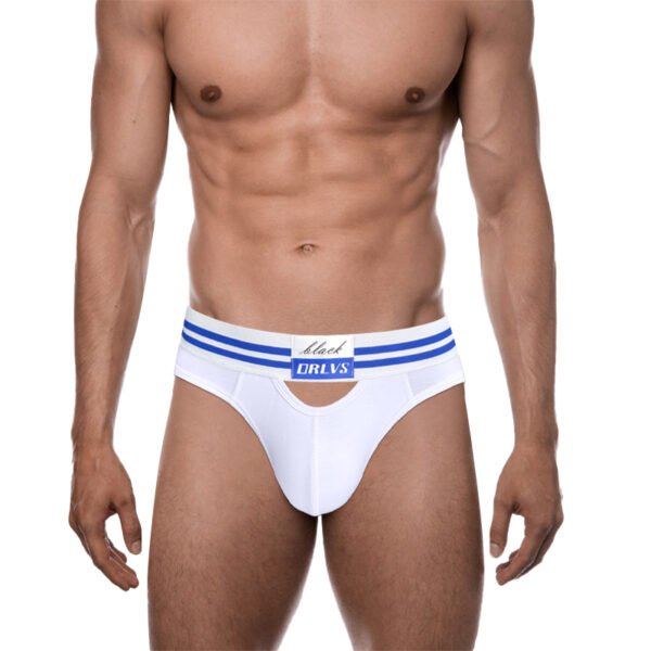 白底图3 ORLVS-OR6245 Cotton Pouch Brief – Ultra Comfort & Definition